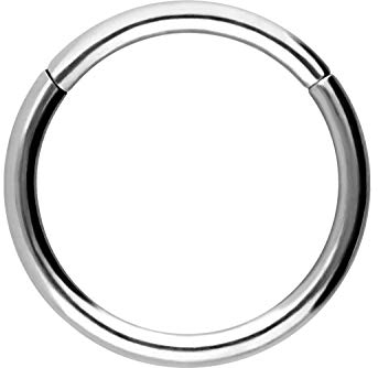 PIERCINGLINE Segmentring Clicker Titan Piercing Nase Septum Ohr Helix Lobe Tragus Silberfarben 1 x 8 mm