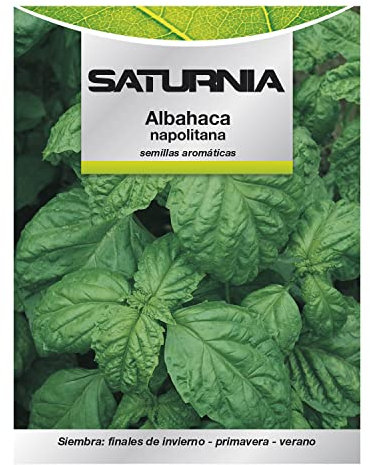 SATURNIA - Semillas Aromáticas Albahaca Gigante (5 gramos) Horticultura, Horticola, Semillas Huerto.