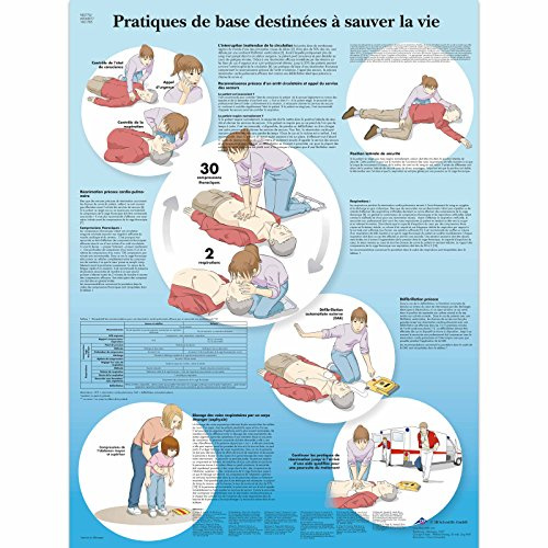 3B Scientific – Tableau Laminé de Premiers Secours – Affiche Éducative Protégée contre les UV et la Poussière pour Étude, Enseignement & Cliniques