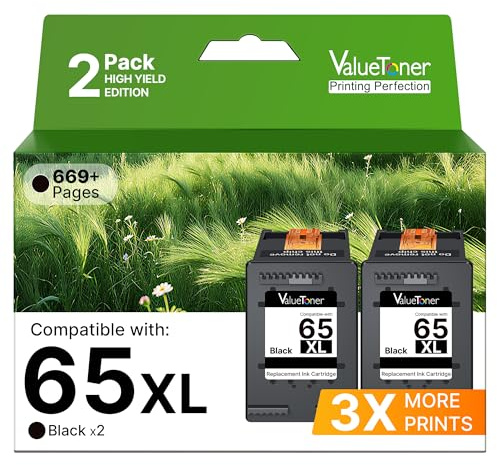 65XL Black Ink Cartridge Replacement for HP Ink 65 Black HP65XL Black Ink Cartridges HP65 65 XL Works for Envy 5055 5052 5058 DeskJet 3755 2655 3720 3722 3723 3752 3758 2652 2624 (2Black)
