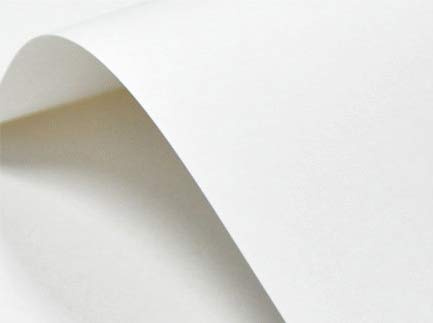 Netuno 100x cartoncino bianco liscio formato A4 21 x 29,7 cm 246g carta bianca liscia elegante per biglietti visita auguri partecipazioni inviti matrimonio compleanno battesimo comunione