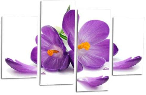 LR Floral Rose Wall Art Purple White Picture Orchid Flower Framed Canvas Split Print Ready to Hang