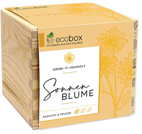 Feel Green - WE CREATE NATURE ecobox, girasol, plantas de la caja de madera, 11 x 11 x 10 cm, fabricado en Austria, idea de regalo sostenible, Grow Your Own/juego de cultivo, madera