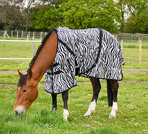 Rhinegold Fly Rug with Neck Cover-6/3-Zebra