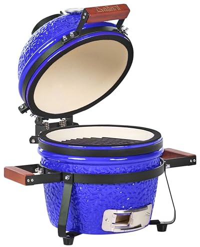 Mini barbecue da esterno in ceramica a carbone con coperchio blu