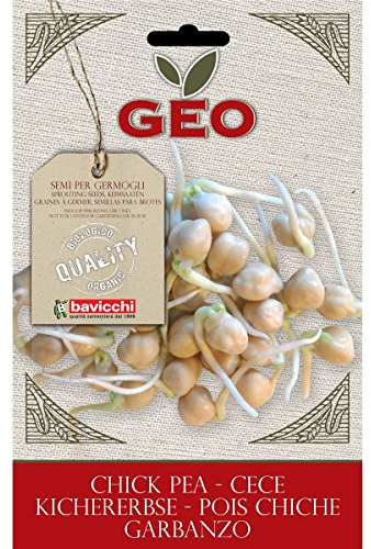 Geo Graine à Germer Pois Chiche Brun 12,7 x 0,7 x 20 cm