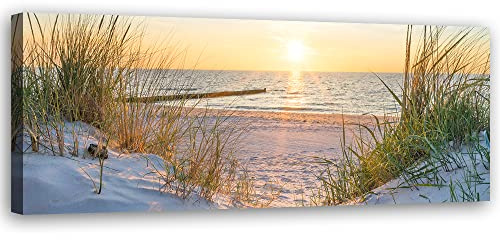 Feeby Vlies Leinwandbild XXL Das Meer Strand 120x40 cm Wandbild Kunst Bilder Schlafzimmer Deko Wohnzimmer Sonnenuntergang Ostsee Gras Beige