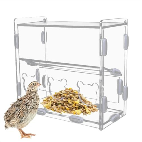 Boîte d'alimentation pour cailles - Mangeoire pour perroquets et cailles - Récipient de nourriture acrylique avec plusieurs trous - Mangeoire transparente pour perroquets