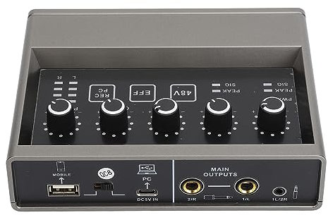 Live-Soundkarte, Verlustfreie HiFi-Sound-Rauschunterdrückung, DSP-Soundverarbeitungschip, USB Typ C, Audio-Mixer für PC-Smartphone-Live-Übertragung
