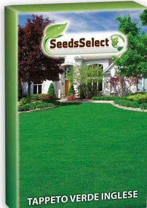 Tapeto Verde Inglese, Seme di Prato, Scatola da 1 kg