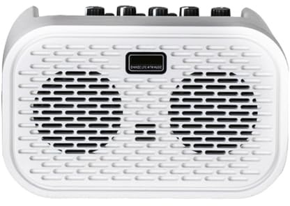 Fangxuee Mini Amplificador de Guitarra Acústica Eléctrica con Altavoz Bluetooth Portátil con Efectos de Distorsión y Retardo de 10 W
