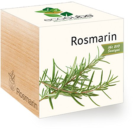 Rosmarin im Holzwürfel mit Bio-Samen