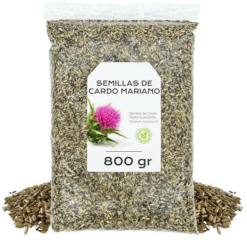 Cardo Mariano Semillas 800g - Cardo mariano Infusion - Te de Cardo Mariano - Cardo Mariano a Granel