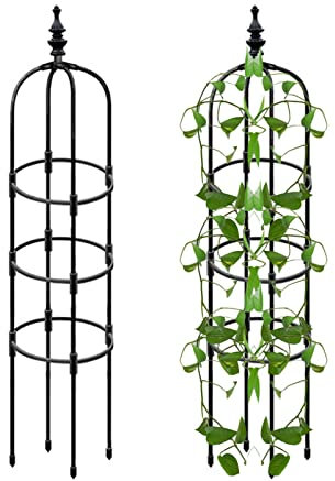 Generic Metal Indoor/Outdoor Plant Obelisk, Stainless Steel, 150cm, Black