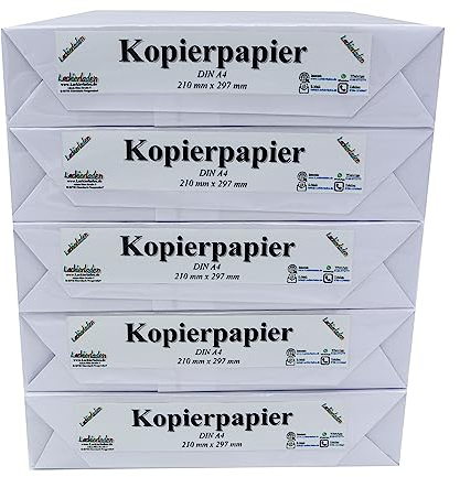 Kopierpapier A4 21 cm x 29,7 cm, 5000 Blatt | Papier Druckerpapier Blätter Zettel Schreibpapier