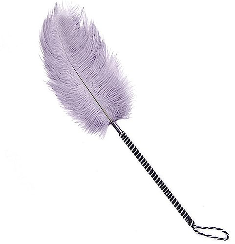 SM Feather Ticklers Teasers Couples Tickle Props Feathers Flirting Tickler Adult Toy Sex Feather Toy for Teasing Sex Toy