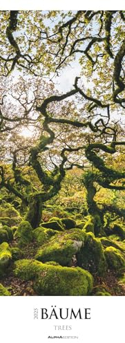 Alpha Edition - Bäume 2025 Streifenkalender XXL, 25x69cm, Kalender mit ausdrucksstarken Bildern, Beschreibungen der Bäume, Notizmöglichkeiten für Termine und internationales Kalendarium
