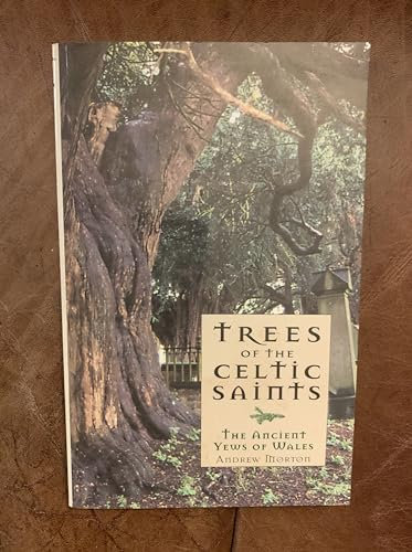 Trees of the Celtic Saints The Ancient Yews of Wales