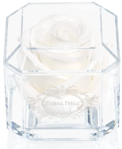 A 100% Real Rose That Lasts Years - Eternal Petals, Handmade in UK – White Gold Solo (White)