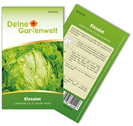 Eisbergsalat Great Lakes 118 Samen - Lactuca sativa - Salatsamen Eissalat - Gemüsesamen - Saatgut für 150 Pflanzen