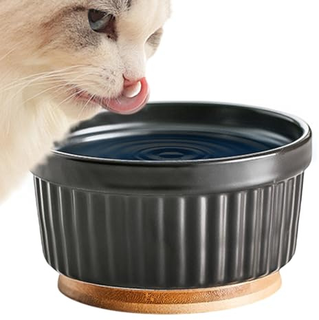 Hitburu Bebedero De Agua Caliente para Gatos - Cerámico con Temperatura Constante,para Gatos De Invierno,para Dueños De Cachorros, Climas Fríos, Invierno, Exterior, Sala De