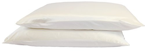 Jasmine Silk Pair 100% 19 Momme Charmeuse Silk Pillowcase With Cotton underside for Hair and Skin 50 x 75 cm