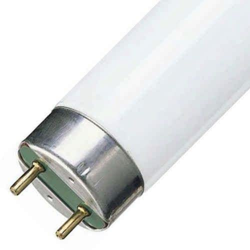 Philips Master TL-D Super 80. Tube Fluorescent T8 18w 840 G13. 1350 Lumen. 26x600mm. Lot de 25 Tubess