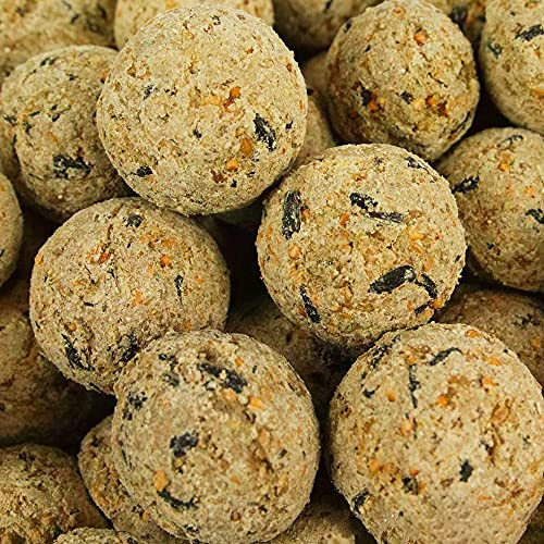 BusyBeaks Suet Fat Balls | Premium Garden Wild Bird Food | Enhanced Year-Round Formula | Naturally Blended High in Energy & Protein-Rich Feed | Full of Fresh Nutritious Fat Fibre & Moisture (100 Pack)