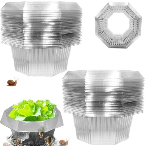 20 Stück Schneckenkragen,Schneckenschutz,Schneckenkragen aus Plastik,Schneckenschutzringe,Schneckenzaun zur Abwehr von Schnecken,für Ihre Salatpflanzen und Kohl - Schützt Pflanzen vor Tierfraß