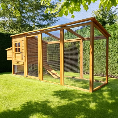 Cocoon 3000WX 8ft Chicken Coop – Wooden Hen House with Integrated Run, Pull-Out Tray, Nest Box & Secure Sliding Door – Ideal for Up to 3–4 Birds