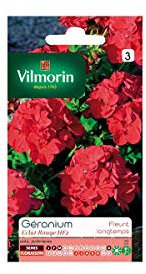 Vilmorin - Sachet graines Géranium éclat rouge HF2