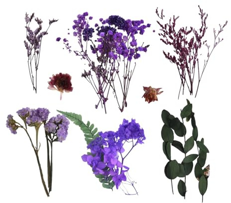 Secos para manualidades | Arreglos secos naturales con tallos, decoración estacional para jardín, boda, mercado de Navidad, decoración de Adviento, despedida de soltera, decoración de fiesta