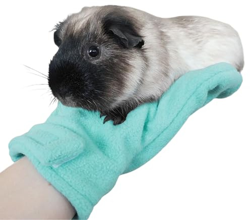 Gants anti-morsure - Gants résistants aux morsures | Guânti en peluche double couche résistant aux morsures | anti-morsure | anti-rayures pour chiens et chats | Pour hamster écureuil roi