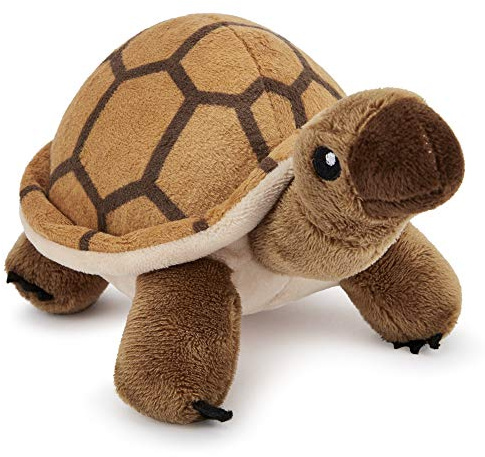 Zappi Co. Tortuga de Peluche para niños Peluche de Animal de la Selva Safari (Pequeño, 5-6 Pulgadas, 12-15CM Tortuga) Genial para el Primer cumpleaños de un niño recién Nacido