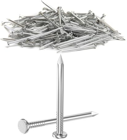 Dayalo 50 pièces de clous en acier 25 mm, clous en acier inoxydable, clous pour images, clous pour travaux du bois en brique pour l'utilisation sur brique, plâtre et bois