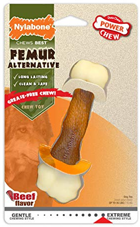 Nylabone Extreme Tough Dog Chew Toy Femur Alternative, Mess-Free, Beef Flavour, Medium, for Dogs Upto 16 kg
