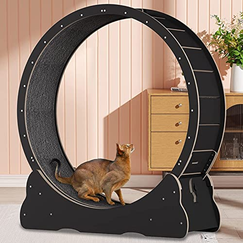 Katzenlaufrad aus Holz -Spiel- & Trainingsgerät für Katzen, Ultra-leises Laufen für Katze Gesund,Black-S