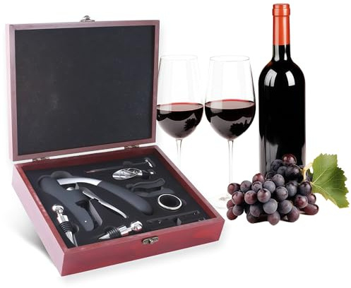 BestYiJo Abridor de botellas de vino, abrebotellas multifuncional para corcho y tapas, sacacorchos premium con tapón de vino y boquilla para bar, familias, amantes del vino