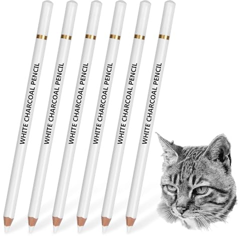 ACKKOR Lot de 6 Crayons Gomme de Précision pour Artistes, Gomme Crayon pour Dessin au Fusain, Esquisse et Retouche de Détails