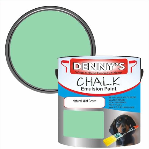 Premium Interior Wall & Furniture Chalk Paint – Natural Mint Green – Rich Matt Finish, Durable & Washable, Low Odour, Ideal for Living Rooms, Bedrooms & Hallways (500ML Tin)