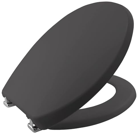 Bemis 2850CPT085 Buxton STAY TIGHT Toilet Seat - Slate Grey