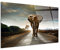 DECLINA Quadro in vetro acrilico decorativo Elefante, vetro acrilico, stampa su plexiglass, 80x50 cm