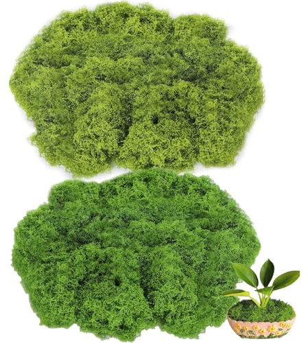 Moos in 2 versch Farben, 300g für Moosbilder, Moosbild, Kunstmoos, Kunst Moos, Moos zum Basteln, Moos Deko, Künstliches Moos, Moss, Moos Konserviert, Deko Moos, Kunstmoos zum Basteln, Moos Kaufen