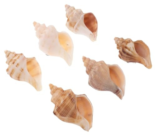 HONITANO 6 Pièces Coquilles Ermite Naturelles Décor Aquarium et Maison Thème Côtier pour Crabes Ornements Plage et Accessoires Poisson