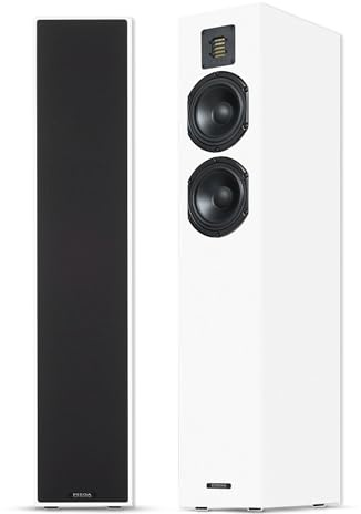 Piega Classic 5.0 Standlautsprecher Preis pro Stück Piano Weiß - Lautsprecher Hifi Box, Standbox Lautsprecher, Floorstanding Hi-Fi Speakers