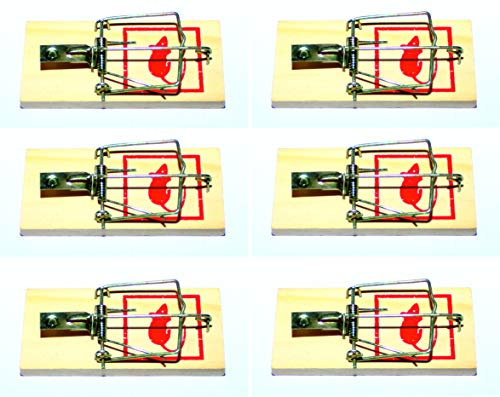Die schönen Dinge Mausefallen 6er Set Schlagfalle für Haus und Garten Holz-Mausefalle Wiederverwendbar Umweltfreundlich einfache Handhabung ohne Kunststoff EINWEG-verpackt