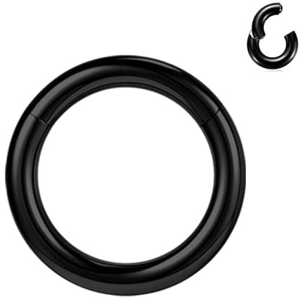BodyAce Anillos PA de segmento con bisagras negras, 2G, 4G, 6G, 8G, 10G, 12G, anillos grandes BCR de acero quirúrgico, aro para tabique nasal, calibre de oreja, aros negros, Acero inoxidable, otros