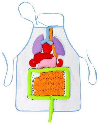 Delantal modelo de órganos humanos: pantalla de anatomía 3D, organigrama realista, delantal de estudio interactivo, herramienta duradera para el aula, ayuda de aprendizaje visual | Ideal para estudian