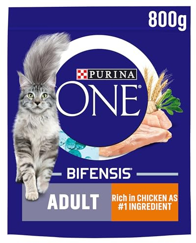 PURINA ONE Chicken Dry Cat Food, 800g