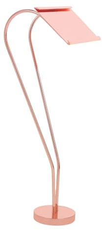 DECORNIJIA Espositore per Menù in Acciaio Inox 25 Cm a Forma di Cuore, Porta Cartelli da Tavolo Robusto per Buffet e Ristoranti, Supporto Piccolo per Piatti e Segnaposto Eventi e Matrimoni